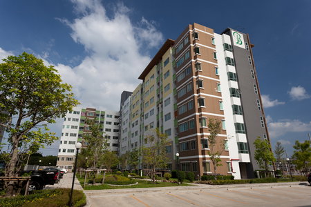 เดอะ ไรซ์ บี 