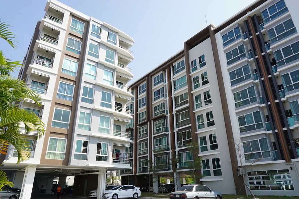 Project One Plus 19 Picture - 1/2