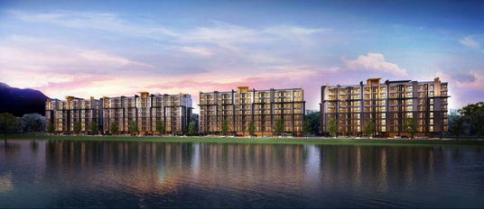 เดอะ เทรเชอร์ บาย มาย ฮิป 