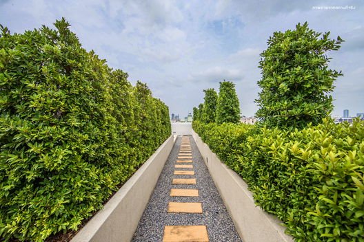 รูป Notting Hill Bearing - รูปที่ 5/25