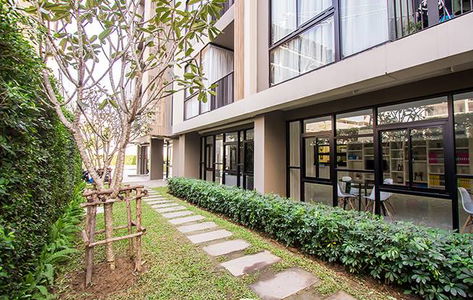 ปาล์ม สปริงส์ นิมมาน พาร์เลอร์