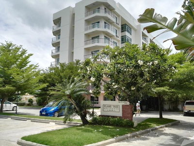 เฟลม ทรี เรสซิเด้นซ์