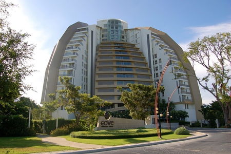 เดอะ โคฟ 