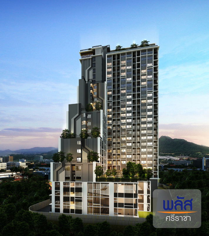 รูป Plus Sriracha - รูปที่ 1/27