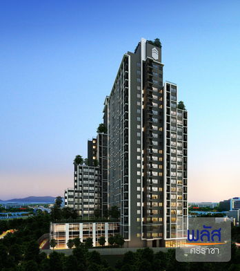 รูป Plus Sriracha - รูปที่ 4/27