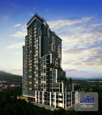 รูป Plus Sriracha - รูปที่ 2/27