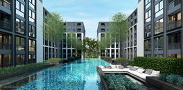 Project Maestro 19 Picture - 3/6