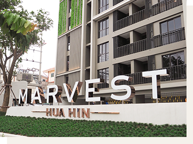 รูป Marvest Hua Hin - รูปที่ 1/3