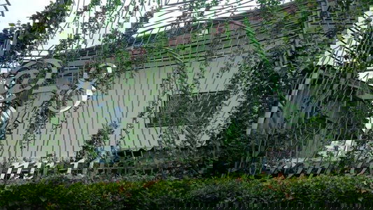 แอท 78 เพชรเกษม