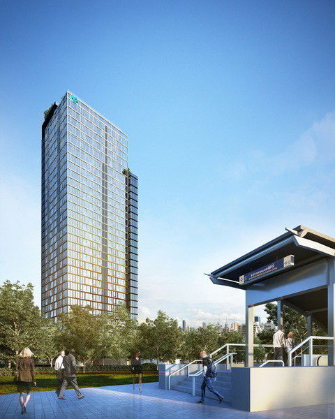 รูป Siamese Exclusive Queens - รูปที่ 1/7