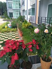 รูป Gozone - รูปที่ 3/5