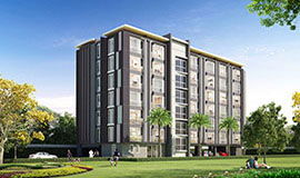 Project One Plus 19 Picture - 2/2