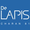 logo project De LAPIS  Charan 81