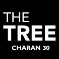 เดอะ ทรี จรัญ 30
