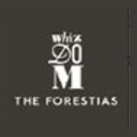 Whizdom The Forestias 