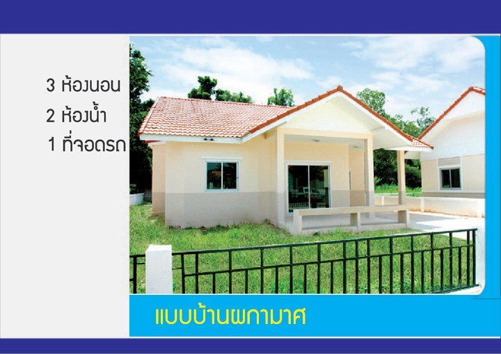 รูปภาพผกามาศ