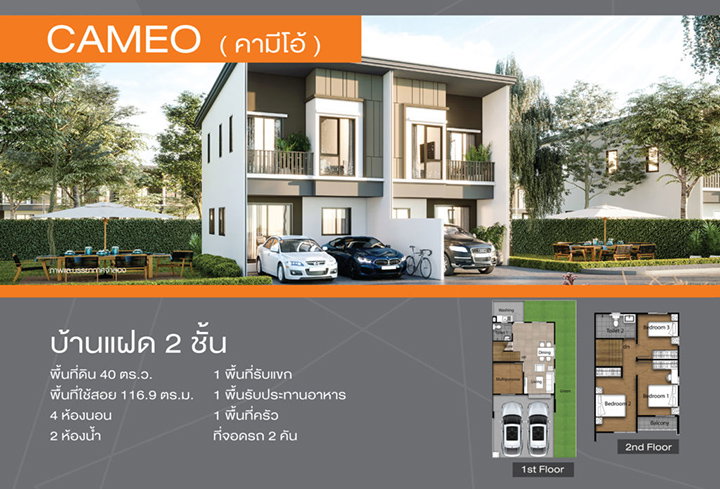 รูปภาพCameo (คามีโอ้)