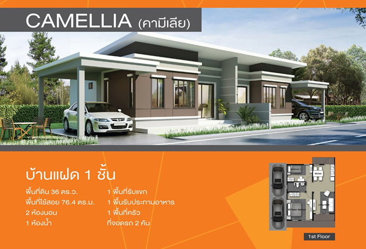 รูปภาพCamellia (คามีเลีย)
