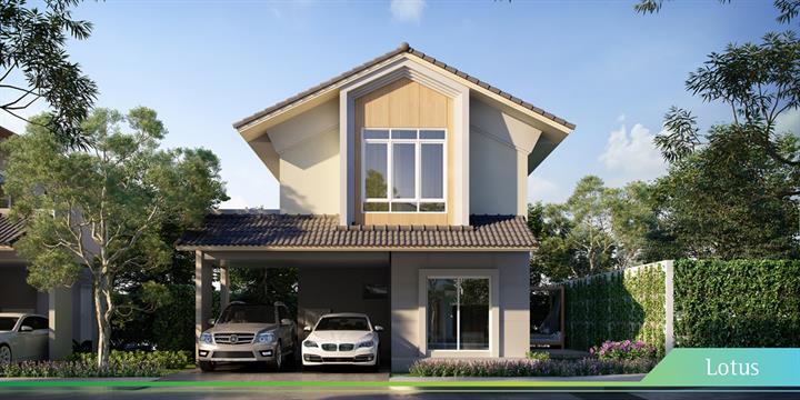 รูปภาพLotus