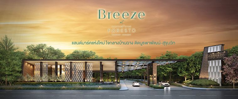 บรีซ แอท อีสเทอร์น สตาร์ ฟอเรสโต้