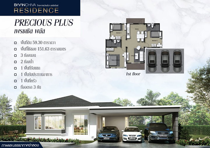 รูปภาพPrecious Plus (เพรชเชิส พลัส)