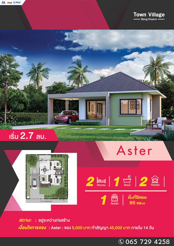 รูปภาพAster