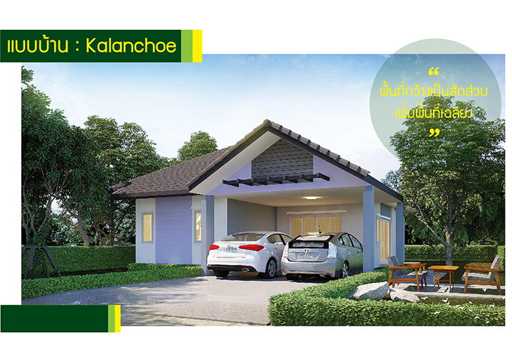 รูปภาพKalanchoe