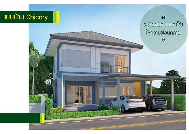 รูปภาพChicory