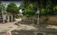 project-บ้านต้นไม้-ดอนเมือง---16265-image-alt