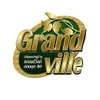logo โครงการ แกรนด์ วิลล์ อ่อนนุช 80