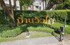 logo project Viewmai