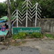 project-เสียงสนนิเวศน์---15384-image-alt