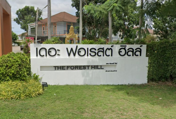 เดอะ ฟอเรสต์ ฮิลล์