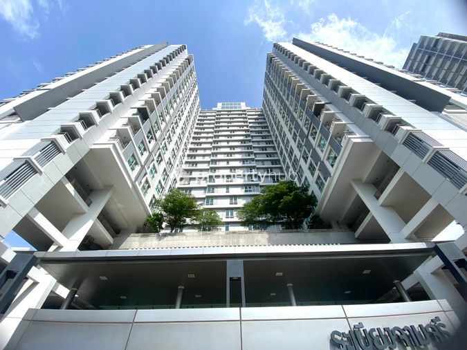 CU Terrace
