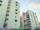 project-predee-place-image-alt