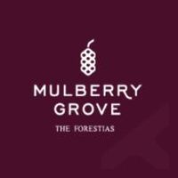 Mulberry Grove The Forestias Villas