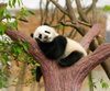 listing thumbnail image 4