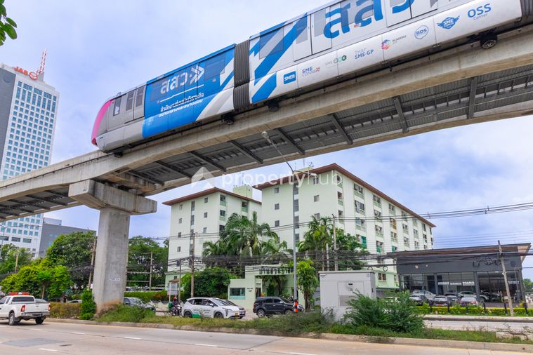 Baan Suan Palm